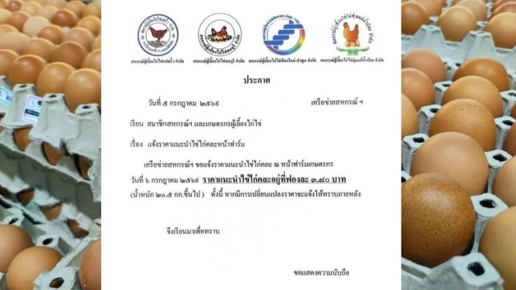 ไข่ไก่คละหน้าฟาร์มปรับขึ้น 20 สตางค์/ฟอง มีผล 6 ก.ค.
