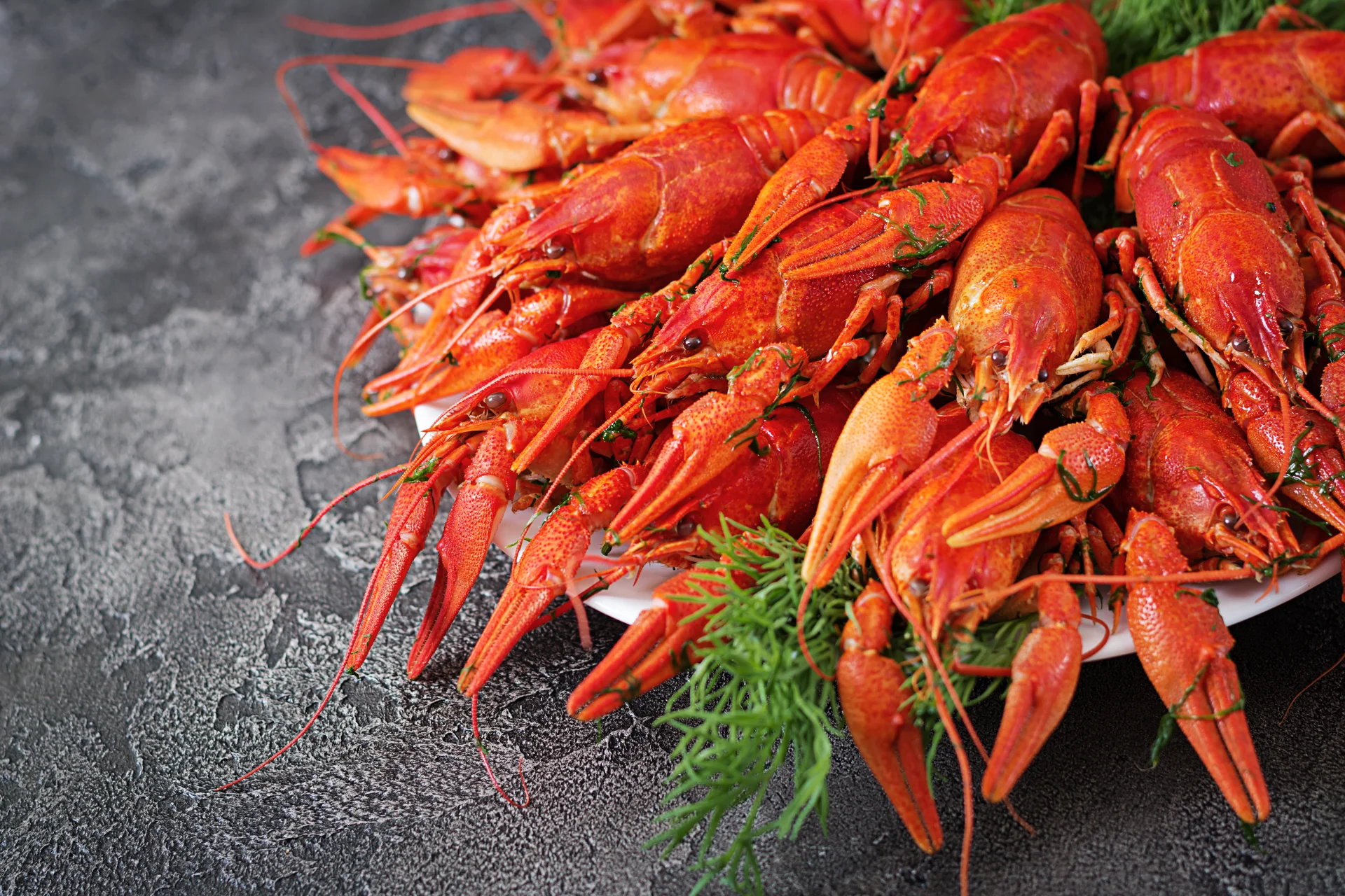 เจาะลึก "กุ้งเครย์ฟิชจีน" ทำไมยอดขายพุ่งกระฉูด? ตลาดยุโรป-เอเชีย สั่งจองพรึบ