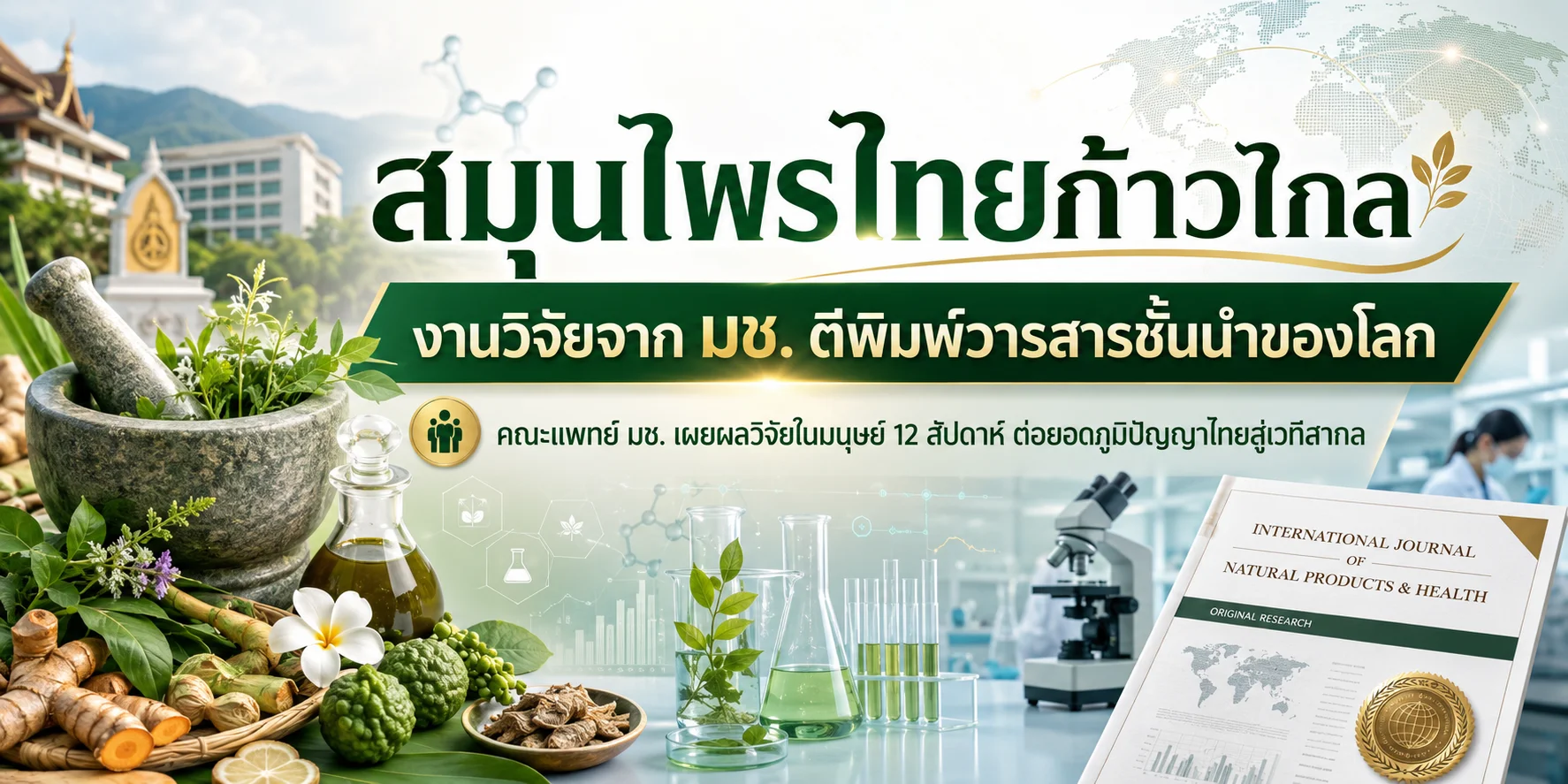 สมุนไพรไทยก้าวไกล งานวิจัยจาก มช. ตีพิมพ์วารสารชั้นนำของโลก