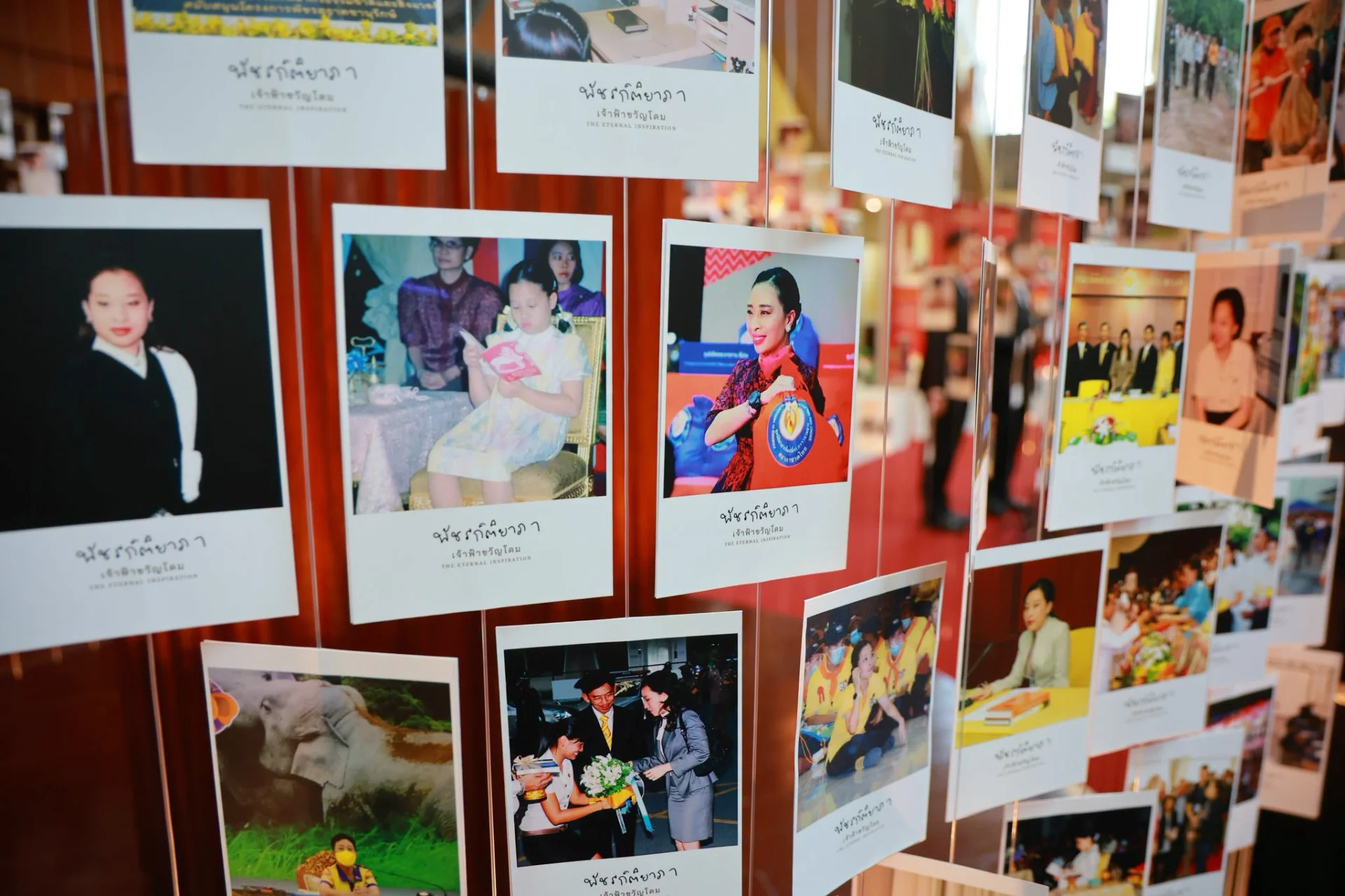 รูปภาพบทความ