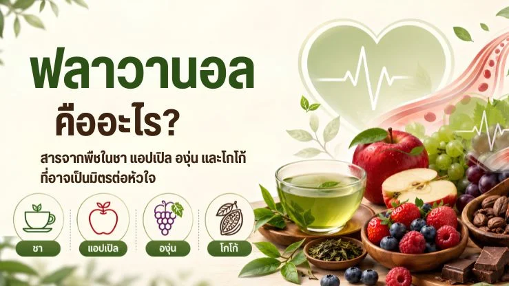 “ฟลาวานอล” คืออะไร? รู้จักสารจากพืชในชา แอปเปิล องุ่น และโกโก้ ที่อาจเป็นมิตรต่อหัวใจ