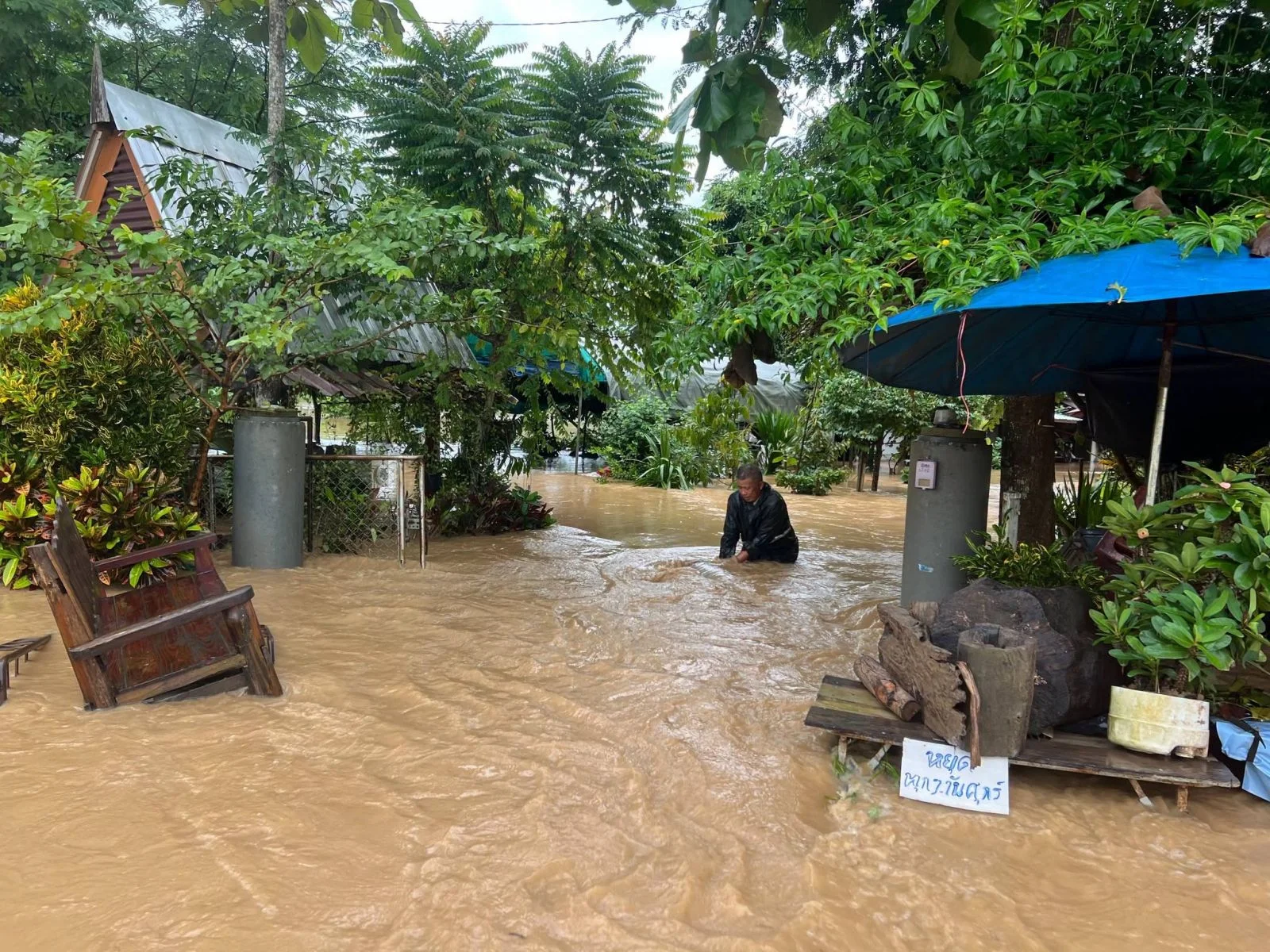 รูปภาพบทความ
