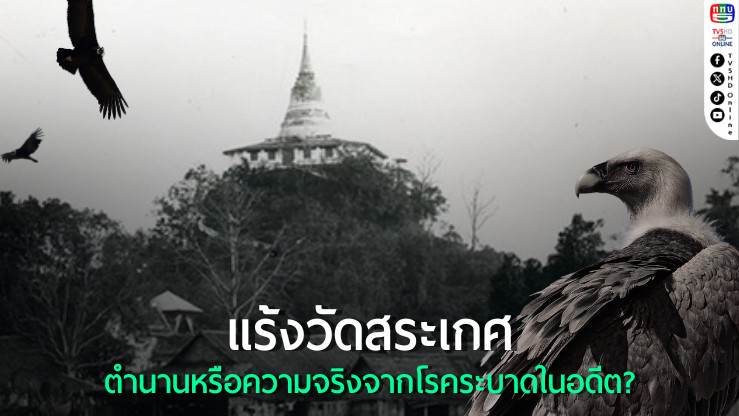 แร้งวัดสระเกศ ภาพสะท้อนของโรคระบาดในประวัติศาสตร์ไทย
