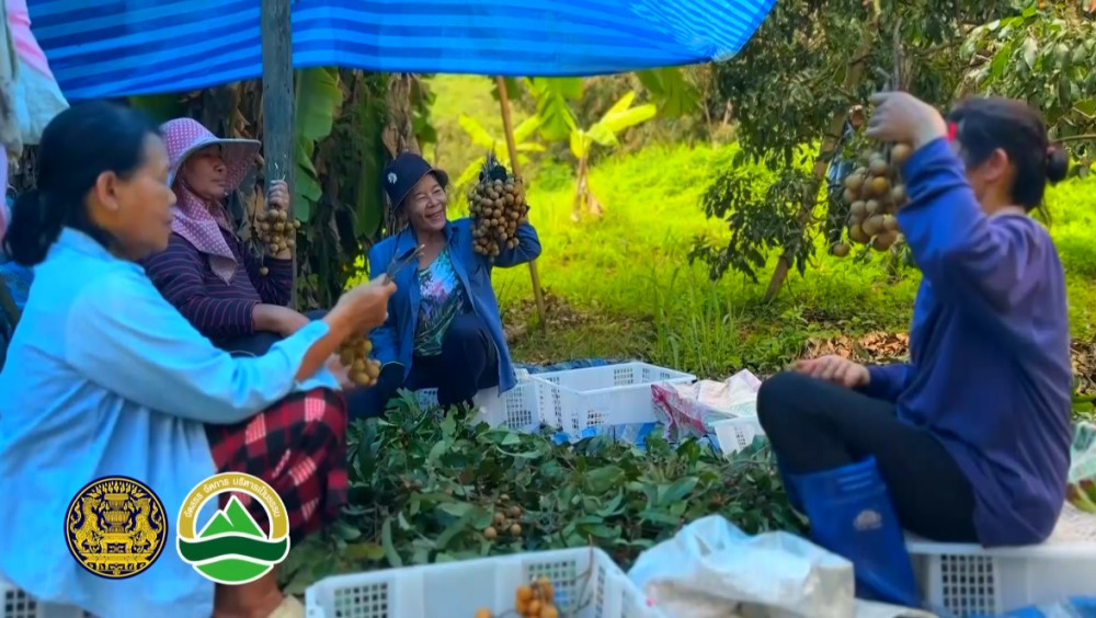 รายการฟ้าห่มดิน EP.1/68 ตอน ธนาคารที่ดิน เพื่อคนไทยมีที่ทํากิน มีกินมีใช้ รายได้ยั่งยืน (วันที่ 25 สิงหาคม 2568)