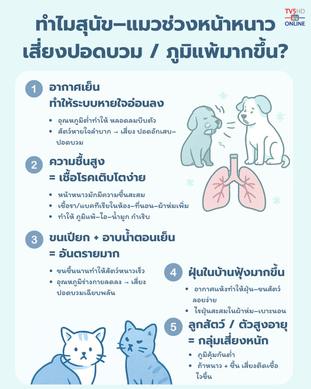 ทําไมสุนัข–แมวช่วงหน้าหนาวป่วยง่ายขึ้น?