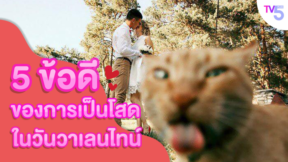 5 ข้อดีของการเป็นโสดในวันวาเลนไทน์