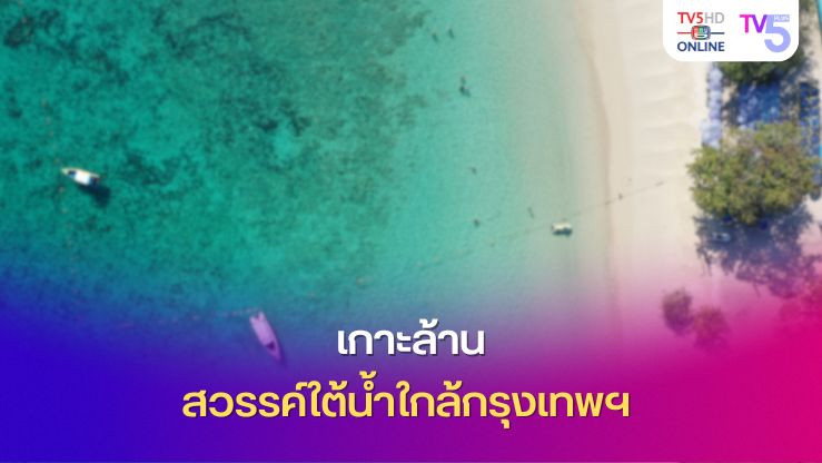 เกาะล้าน สวรรค์ใต้น้ำใกล้กรุงเทพฯ ️