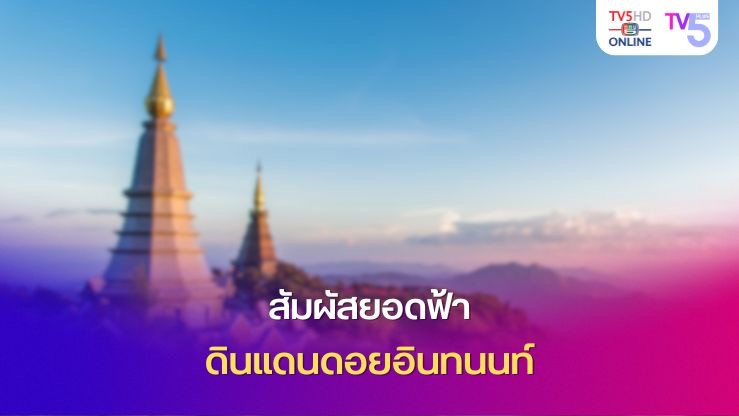  สัมผัสยอดฟ้า ดินแดนดอยอินทนนท์