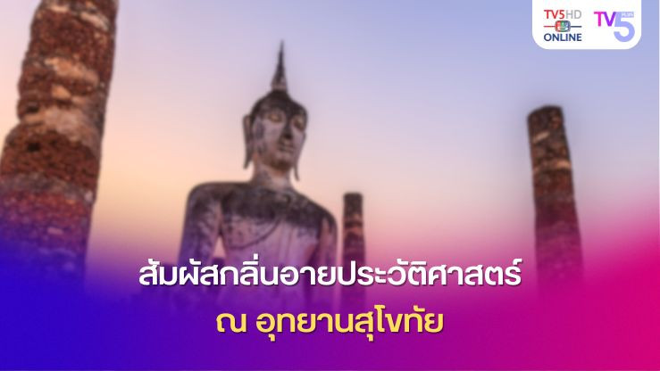 สัมผัสกลิ่นอายประวัติศาสตร์ ณ อุทยานสุโขทัย