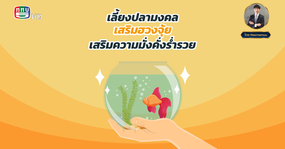 การเลี้ยงปลามงคล เสริมฮวงจุ้ย เสริมความมั่งคั่งร่ำรวย