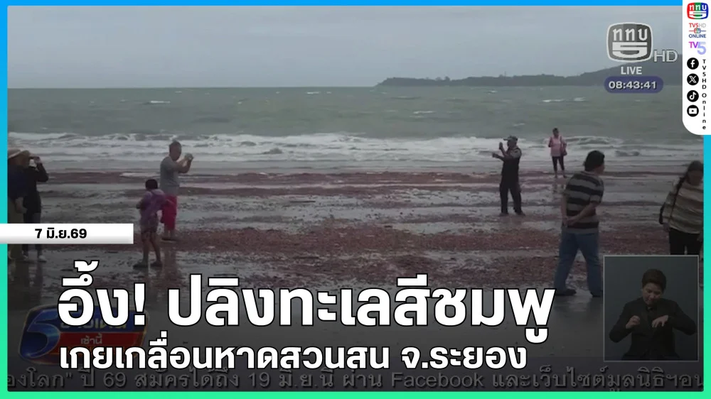 อึ้ง! ปลิงทะเลสีชมพูเกยเกลื่อนหาดสวนสน จ.ระยอง