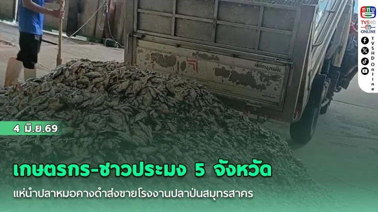เกษตรกร-ชาวประมง 5 จังหวัดแห่นําปลาหมอคางดําส่งขายโรงงานปลาป่นสมุทรสาคร