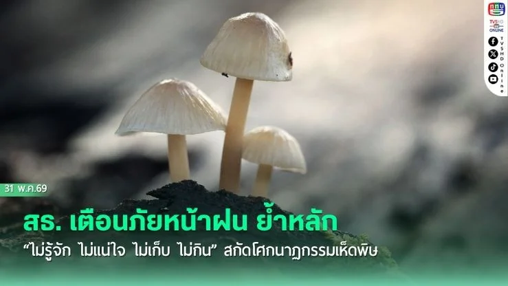 สธ. เตือนภัยหน้าฝน ย้ําหลัก "ไม่รู้จัก ไม่แน่ใจ ไม่เก็บ ไม่กิน" สกัดโศกนาฏกรรมเห็ดพิษ