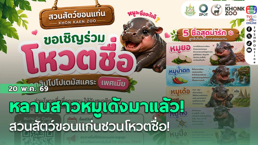 หลานสาวหมูเด้งมาแล้ว! สวนสัตว์ขอนแก่นชวนโหวตชื่อ! หมูยอ-หมูปิ้ง-หมูดึ๋ง-หมูเด้อ-หมูน้ําตก