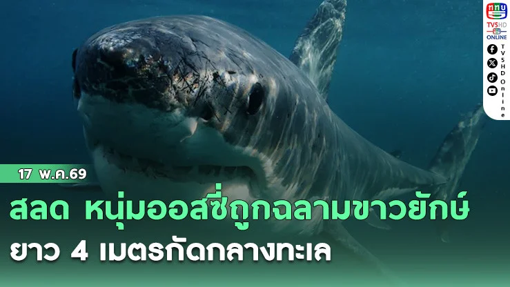 สลด หนุ่มออสซี่ถูกฉลามขาวยักษ์ยาว 4 เมตรกัดกลางทะเล เร่ง CPR แต่ยื้อชีวิตไม่ไหว