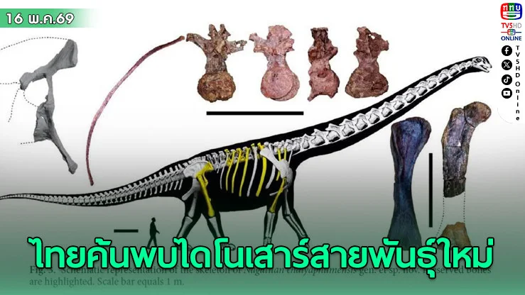 "นาคาไททัน" ไทยค้นพบไดโนเสาร์สายพันธุ์ใหม่ ใหญ่สุดในอาเซียน