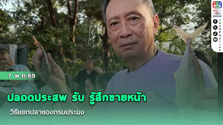ปลอดประสพ รับ รู้สึกขายหน้า วิธีแยกปลาของกรมประมง