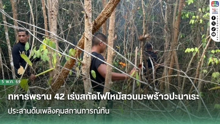 ทหารพราน 42 เร่งสกัดไฟไหม้สวนมะพร้าวปะนาเระ ประสานดับเพลิงคุมสถานการณ์ทัน