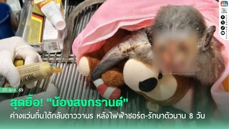 สิ้นใจแล้ว! "น้องสงกรานต์" ลูกค่างแว่นถิ่นใต้ หลังสู้สุดใจปมไฟชอร์ตนาน 8 วัน