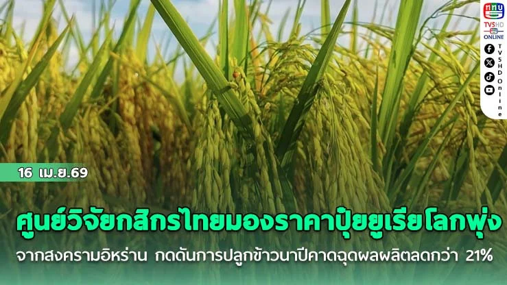 ศูนย์วิจัยกสิกรไทย มองราคาปุ๋ยยูเรียโลกพุ่ง จากสงครามอิหร่าน กดดันการปลูกข้าวนาปีคาดฉุดผลผลิตลดกว่า 21%