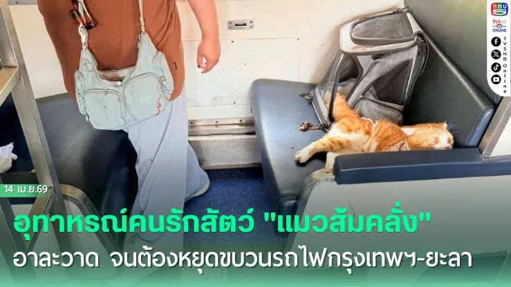 อุทาหรณ์คนรักสัตว์ "แมวส้มคลั่ง" อาละวาด จนต้องหยุดขบวนรถไฟกรุงเทพฯ-ยะลา