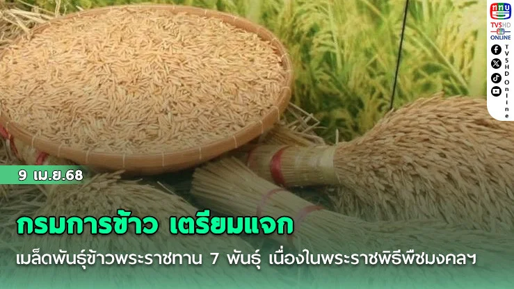 กรมการข้าว เตรียมแจก เมล็ดพันธุ์ข้าวพระราชทาน 7 พันธุ์ เนื่องในพระราชพิธีพืชมงคลฯ