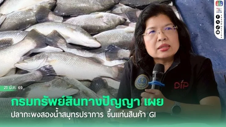 กรมทรัพย์สินทางปัญญาขึ้นทะเบียน "ปลากะพงสองน้ําสมุทรปราการ" เป็นสินค้า GI รายการใหม่