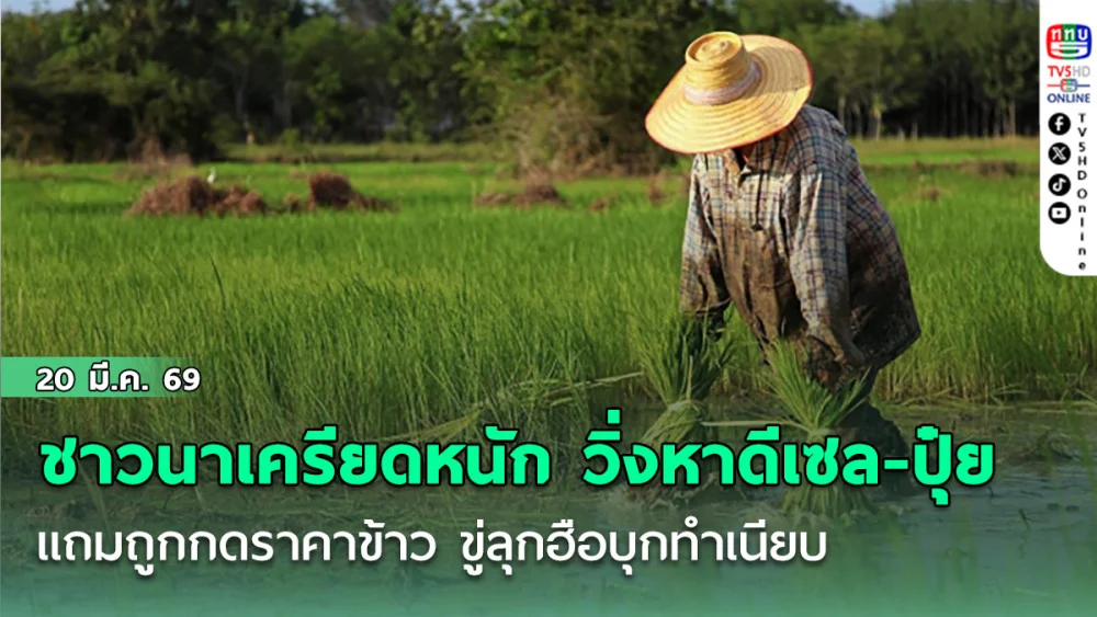 ชาวนาเครียดหนัก วิ่งหาดีเซล-ปุ๋ย แถมถูกกดราคาข้าว ขู่ลุกฮือบุกทําเนียบ