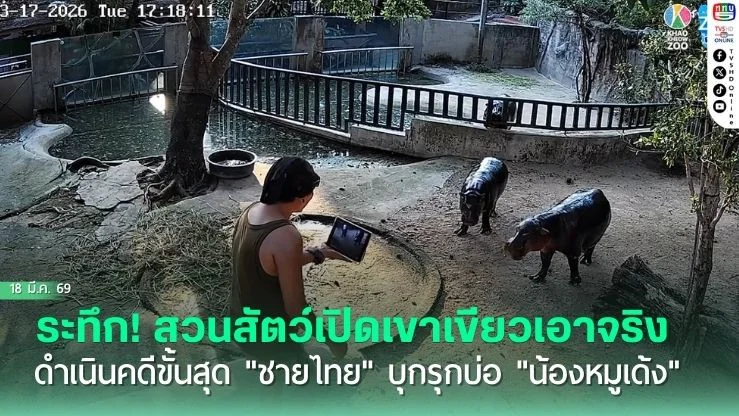 ระทึก! สวนสัตว์เปิดเขาเขียวเอาจริง ดําเนินคดีขั้นสุด "ชายไทย" บุกรุกบ่อ "น้องหมูเด้ง"