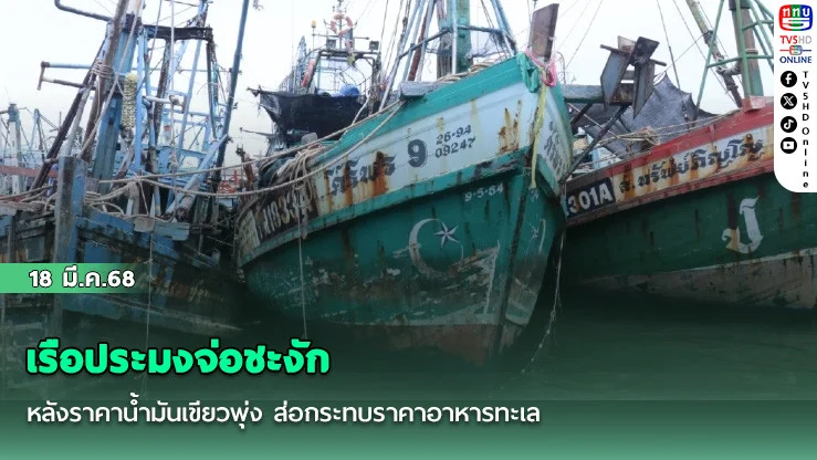 เรือประมงจ่อชะงัก หลังราคาน้ํามันเขียวพุ่ง ส่อกระทบราคาอาหารทะเล
