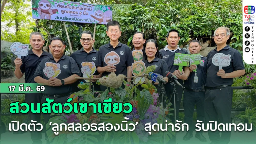 สวนสัตว์เขาเขียว เปิดตัว ‘ลูกสลอธสองนิ้ว’ สุดน่ารัก รับปิดเทอม