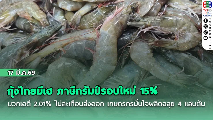 กุ้งไทยมีเฮ ภาษีทรัมป์รอบใหม่ 15% บวกเอดี 2.01% ไม่สะเทือนส่งออก เกษตรกรมั่นใจผลิตฉลุย 4 แสนตัน