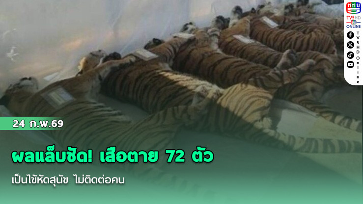 ผลแล็บชัด! เสือตาย 72 ตัว เป็นไข้หัดสุนัข ไม่ติดต่อคน