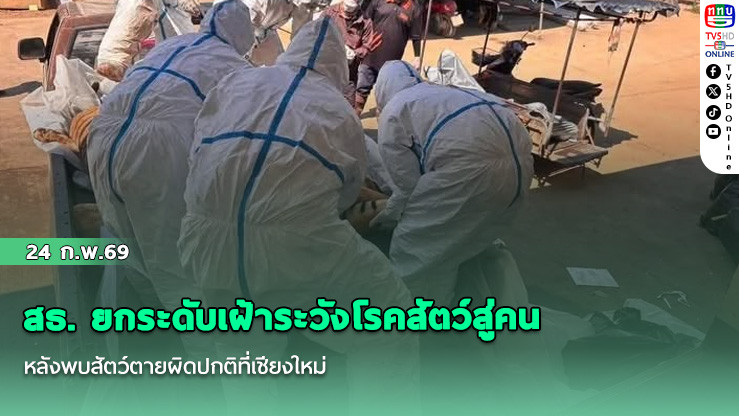 สธ. ยกระดับเฝ้าระวังโรคสัตว์สู่คน หลังพบสัตว์ตายผิดปกติที่เชียงใหม่