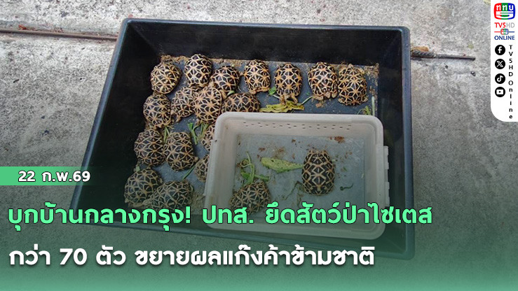 บุกบ้านกลางกรุง! ปทส. ยึดสัตว์ป่าไซเตส กว่า 70 ตัว ขยายผลแก๊งค้าข้ามชาติ