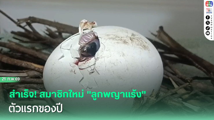 สําเร็จ! สมาชิกใหม่ "ลูกพญาแร้ง" ตัวแรกของปี
