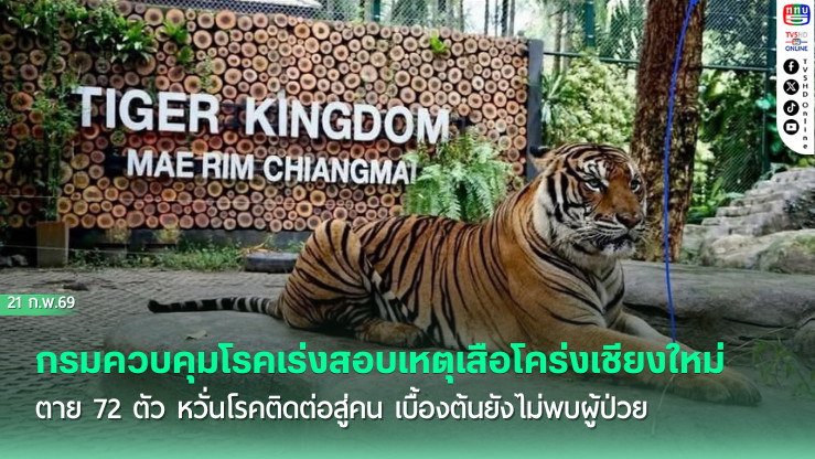 กรมควบคุมโรคเร่งสอบเหตุเสือโคร่งเชียงใหม่ตาย 72 ตัว หวั่นโรคติดต่อสู่คน เบื้องต้นยังไม่พบผู้ป่วย