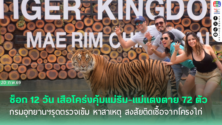 ช็อก 12 วัน เสือโคร่งคุ้มแม่ริม-แม่แตงตาย 72 ตัว กรมอุทยานฯรุดตรวจเข้ม หาสาเหตุ สงสัยติดเชื้อจากโครงไก่