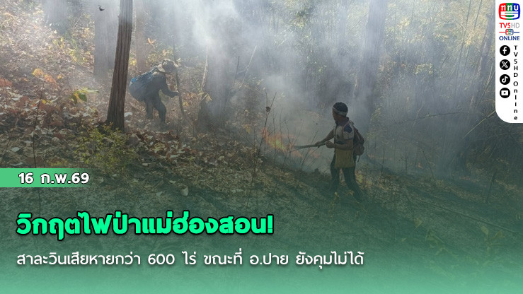 วิกฤตไฟป่าแม่ฮ่องสอน! สาละวินเสียหายกว่า 600 ไร่ ขณะที่ อ.ปาย ยังคุมไม่ได้