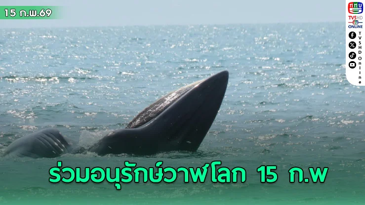 วาฬในทะเลไทย กําลังฟื้นตัว เชิญชวนทุกภาคส่วนร่วมอนุรักษ์ เนื่องในวันอนุรักษ์วาฬโลก 15 ก.พ.นี้