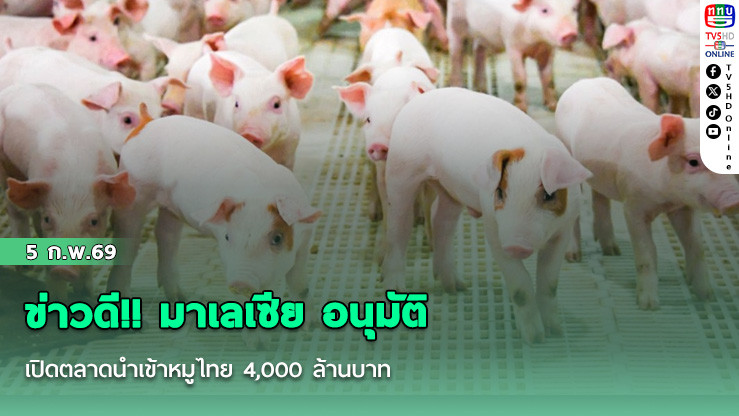 ข่าวดี!! มาเลเซีย อนุมัติ เปิดตลาดนําเข้าหมูไทย 4,000 ล้านบาท ยกระดับราคา