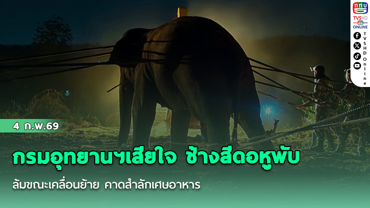 กรมอุทยานฯเสียใจ ช้างสีดอหูพับ ล้มขณะเคลื่อนย้าย คาดสําลักเศษอาหาร