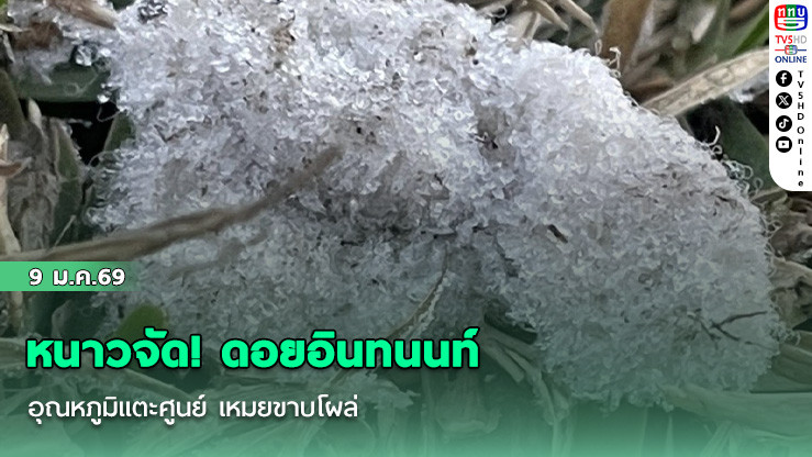 หนาวจัด! ดอยอินทนนท์ อุณหภูมิแตะศูนย์ เหมยขาบโผล่