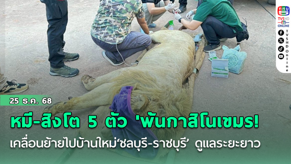 หมี-สิงโต 5 ตัว 'พ้นกาสิโนเขมร! เคลื่อนย้ายไปบ้านใหม่‘ชลบุรี-ราชบุรี’ ดูแลระยะยาว