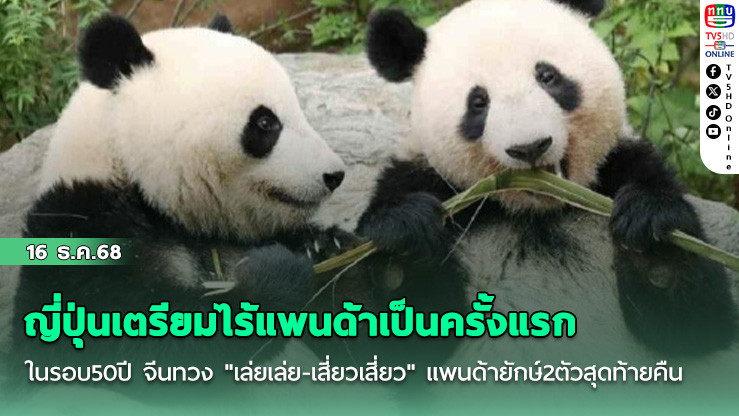 ญี่ปุ่นเตรียมไร้แพนด้าเป็นครั้งแรกในรอบ50ปี จีนทวง "เล่ยเล่ย-เสี่ยวเสี่ยว"  แพนด้ายักษ์2ตัวสุดท้ายคืน