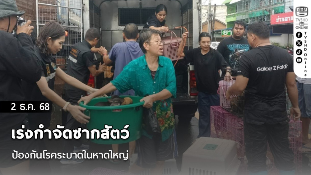 เร่งกําจัดซากสัตว์–ป้องกันโรคระบาดในหาดใหญ่