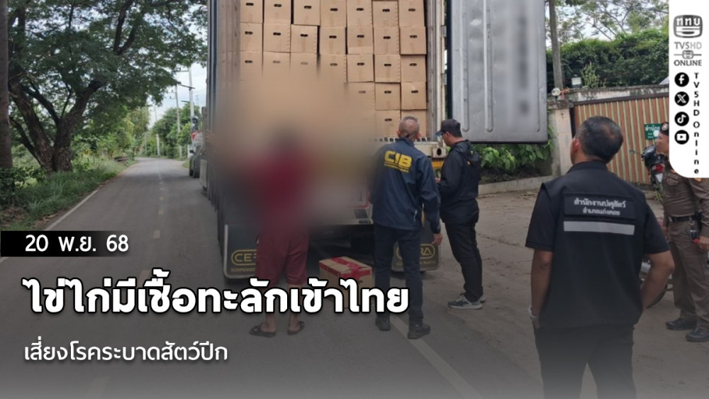 ไข่ไก่มีเชื้อทะลักเข้าไทย เสี่ยงโรคระบาดสัตว์ปีก