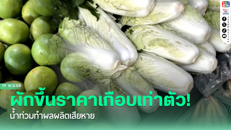 ผลผลิตเสียหายหนัก! ราคาผัก-มะนาวปรับพุ่งต่อเนื่อง หลังน้ําท่วมหลายพื้นที่