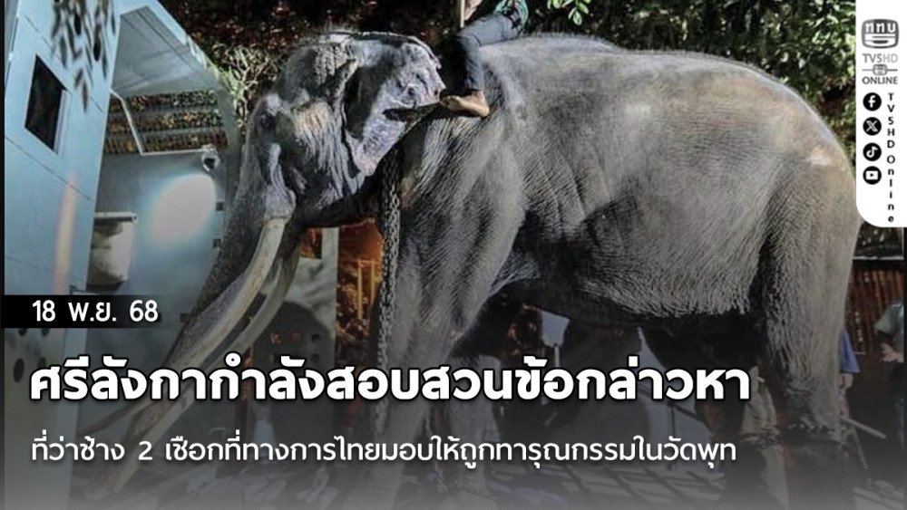 ศรีลังกากําลังสอบสวนข้อกล่าวหาที่ว่าช้าง 2 เชือกที่ทางการไทยมอบให้ถูกทารุณกรรมในวัดพุทธ