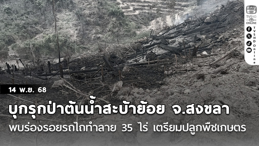 บุกรุกป่าต้นน้ําสะบ้าย้อย จ.สงขลา  พบร่องรอยรถไถทําลาย 35 ไร่ เตรียมปลูกพืชเกษตร